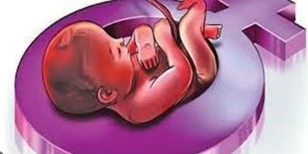 वर्धा : गर्भलिंग निदान, अवैध गर्भपाताची माहिती देणाऱ्यास मिळणार १ लाखाचे बक्षीस