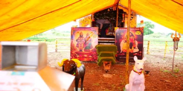 छ. संभाजीनगर - श्री क्षेत्र आदमापूर येथील संत बाळूमामांच्या बगा क्र. १० च्या पालखीचे आगमन